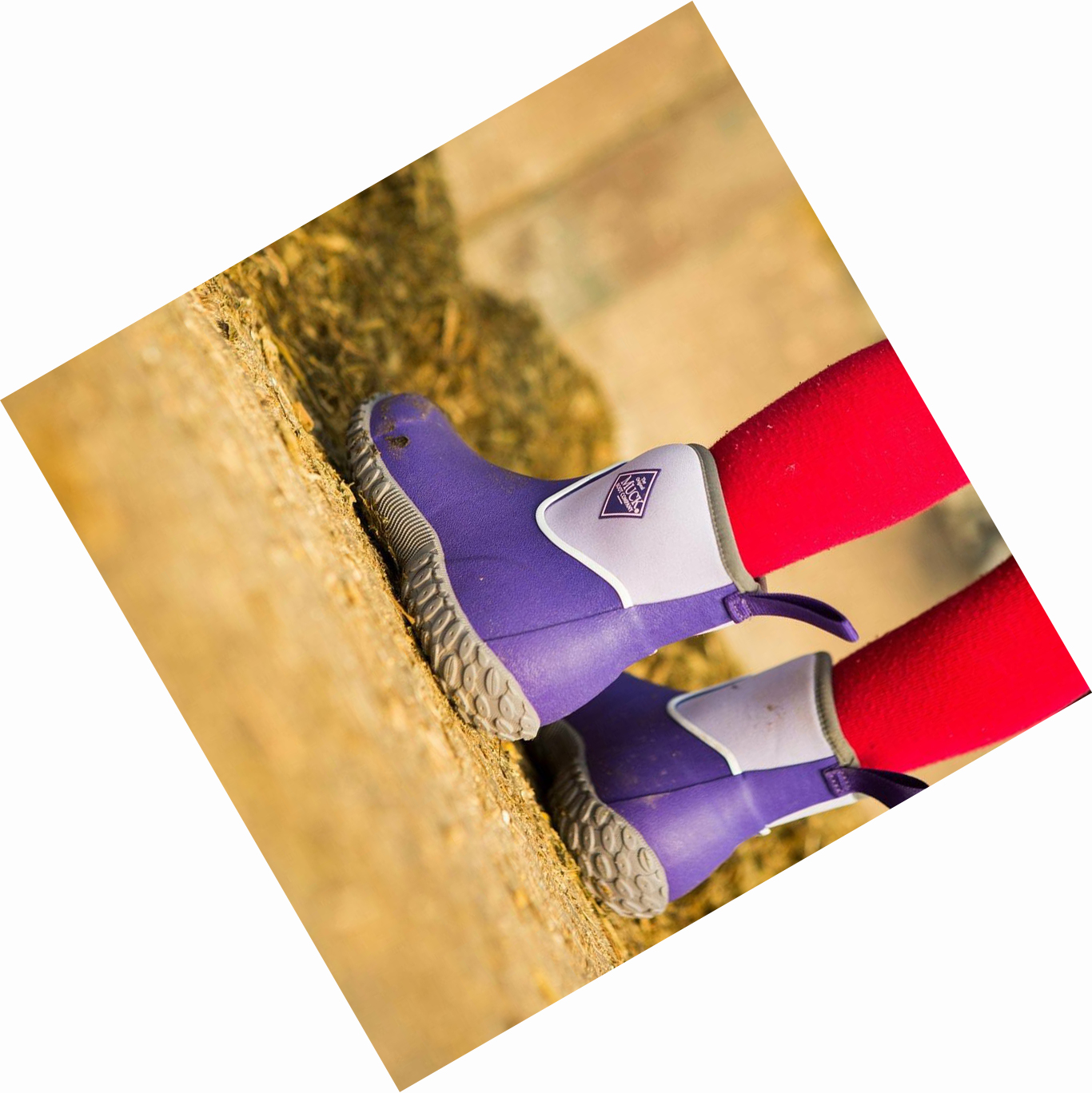 Kids' Muck Muckster II Boots Purple | FIUVRT-438