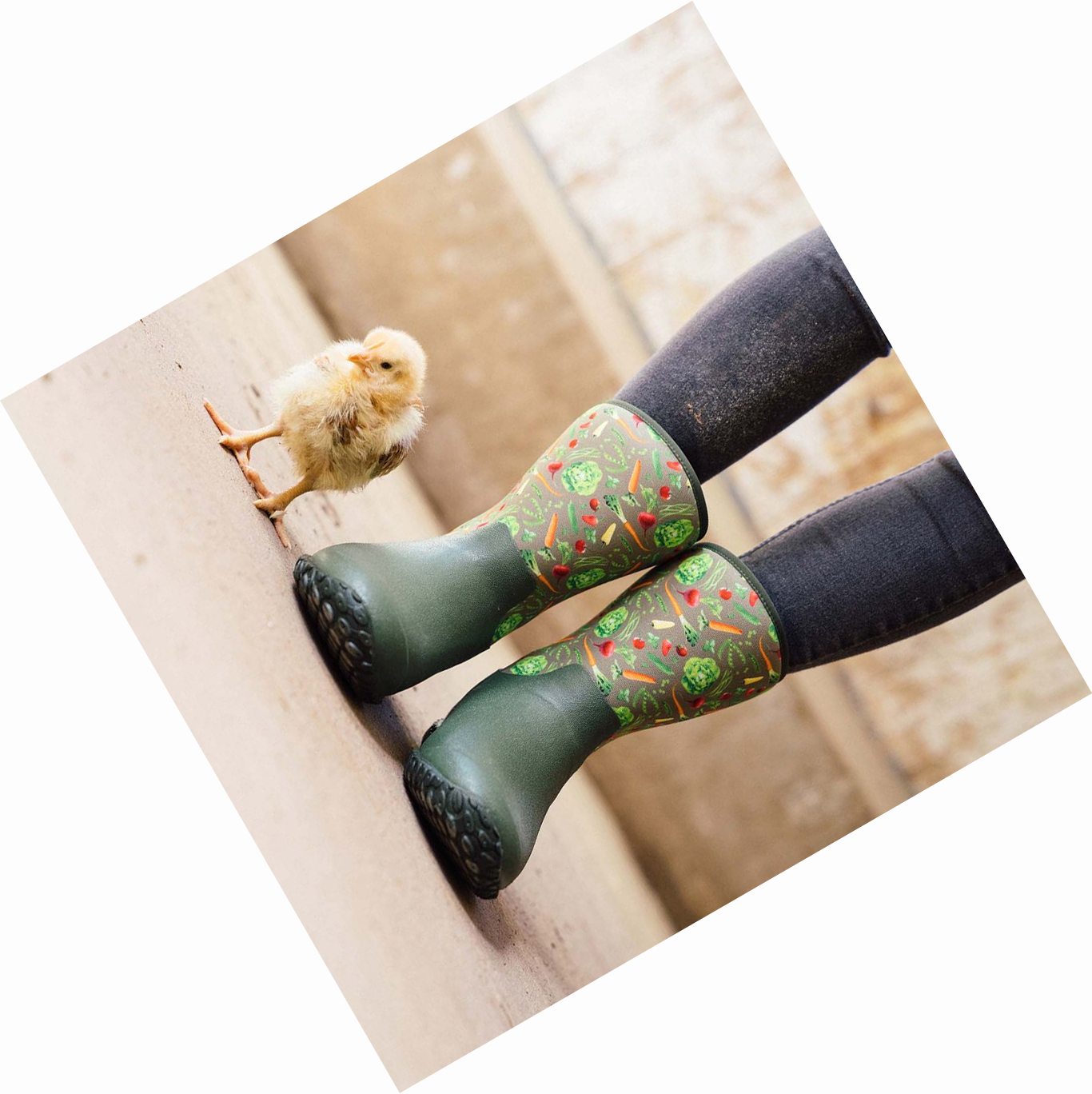 Women's Muck Muckster Rubber Boots Green | QDVXKM-981